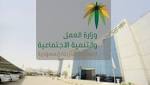 وزارة العمل تدمج الإشراف الإجتماعي