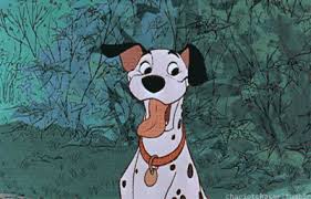 Znalezione obrazy dla zapytania missed joke