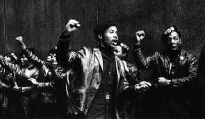 Image result for black panthers oakland