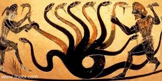 Resultado de imagem para hydra