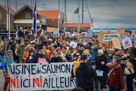 Deux rives, deux ambiances : dans l’estuaire de la Gironde, le saumon de la discorde