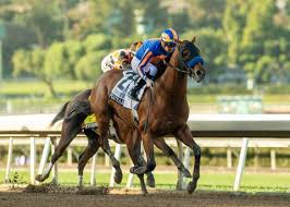 “Other” Horses Decorate List Of Kentucky Derby Contenders