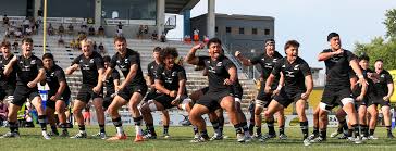 New Zealand Rugby - News update