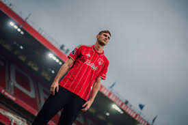 'A water polo striker' - what Nottingham Forest can expect from Lorenzo Lucca
