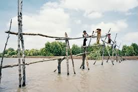 Image result for cầu khỉ miền tây