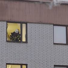 SVT Nyheter - News update