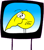 Image result for shadoks