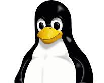 Linux OS logoの画像
