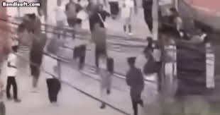 조선일보 - News update