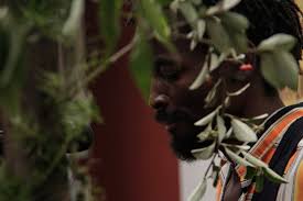 Image result for petronio alvarez 2016