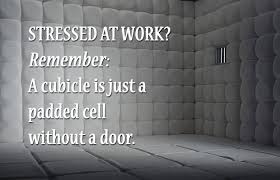 stress-quote-padded-cell.png (620×400) | Replace &quot;stressed ... via Relatably.com