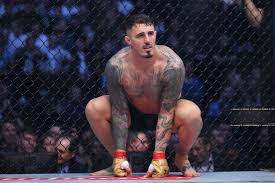 Bloody Elbow - News update