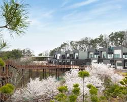 충북 단양 소백산자연휴양림 전경 및 숲속의 집, AI로 생성