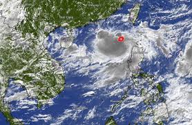 Báo Tuổi Trẻ - News update