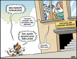 Erdil Yaşaroğlu ile ilgili görsel sonucu