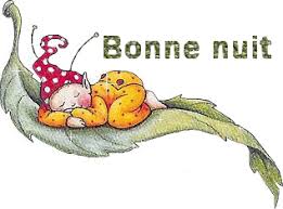 Résultat de recherche d'images pour "bonne nuit"