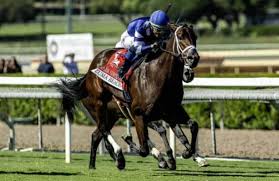 Horse Racing Nation - News update