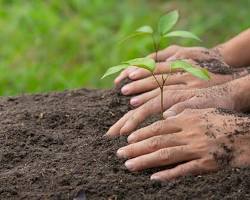 Volunteering for conservation organizations