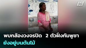แม่ทัพภาคที่ 2 เตรียมตอบโต้! คาดกัมพูชายังมีกับระเบิดช่องบกอีก 100 ลูก - Imagen principal del artículo
