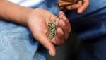  The Spice of Death: The Science behind Tainted “Synthetic Marijuana”