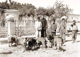 Bildergebnis für ‫صور فلسطينية قديمة‬‎