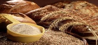 Image result for gandum