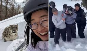 Revelada a selfie de turista antes de ser atacada por leopardo-das-neves