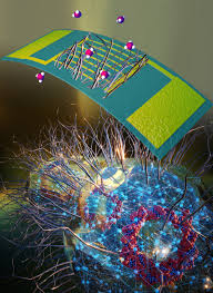 Sustainable Microbial Nanowire Electronic Nose for Health Monitoring