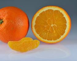 Image of Oranges fruit