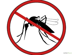 Dengue diminui bastante no sul da Bahia