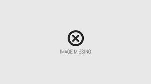نتیجه تصویری برای خورش قیمه خلال و زرشک