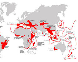 Image of Biodiversity hotspot