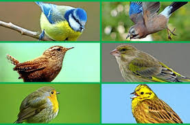 frühlingsanfang 2026