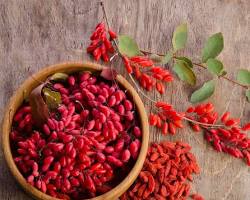 Goji berries