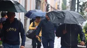 El Sol de México - News update
