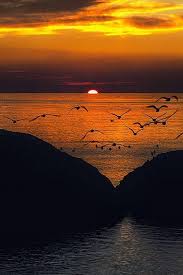 Image result for water and sunrise