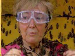 I&#39;m A Celebrity 2010: Jenny Eclair and Stacey Solomon are treated to a night of luxury ... - article-1334230-0C472485000005DC-469_634x476