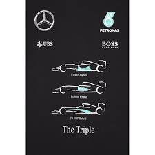 Image result for petronas amg champion