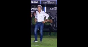 Veja a celebração de Renato Gaúcho após um dos gols de Adson
