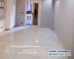 صورة معرض كليوباترا الإسكندرية