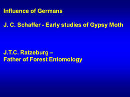 Image result for Entomology Studies