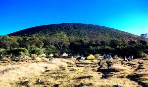 Image result for alun alun surya kencana