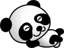 Image result for panda