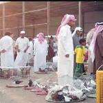 إعدام ألف طير بعد اكتشاف