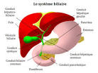 Douleur abdominale (symptmes) : causes et traitements