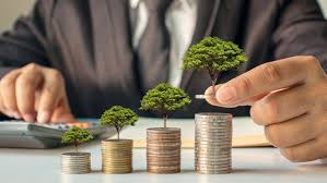 Arisinfra Solutions IPO: Mumbai-based firm raises ₹224.8 crore from anchor investors ahead of public issue