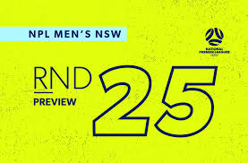 NPL Men's NSW - News update