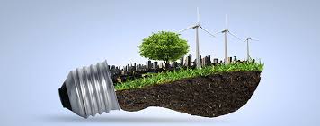 Resultado de imagem para gestor ambiental