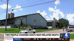 WSMV - News update
