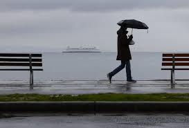Seattle Windstorm Causes Power Outages and Blizzard Conditions